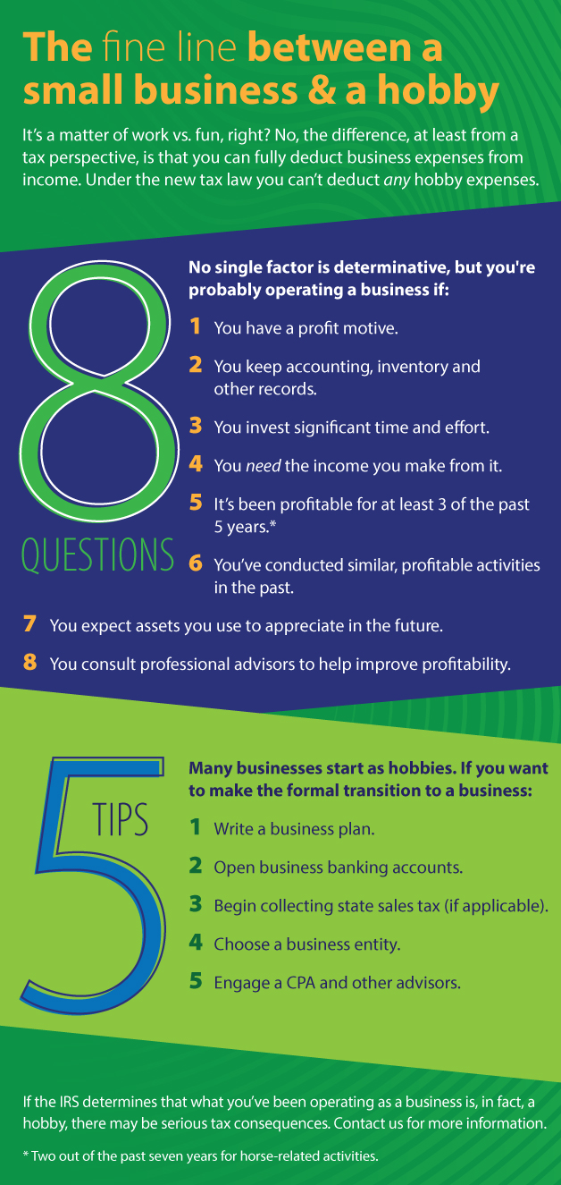 Infographic: Hobby or Small Business?