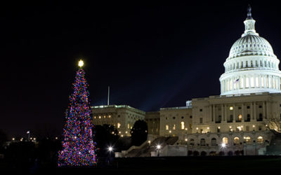 Congress gives a holiday gift in the form of favorable tax provisions